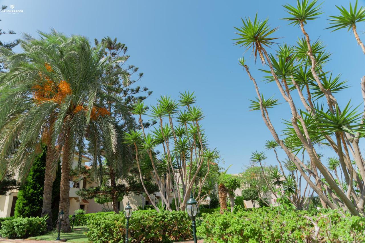 Marhaba Resort Порт Саид Екстериор снимка